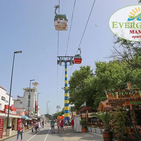 Apartment Evergreen Vlas Sud *
