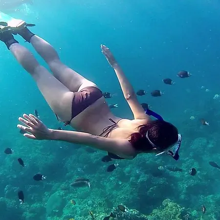 Apartman Evergreen Vlas Sud Mamaia