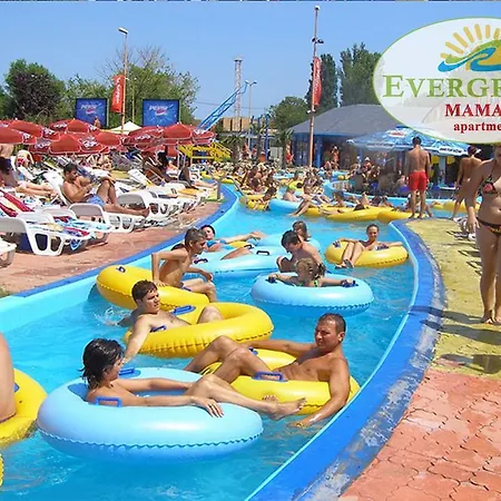 Evergreen Vlas Sud Mamaia