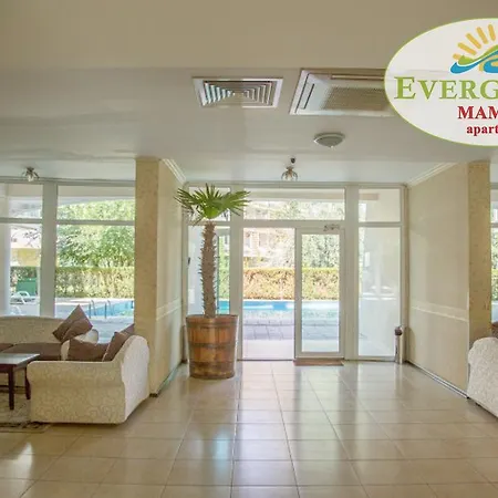 Apartment Evergreen Vlas Sud *