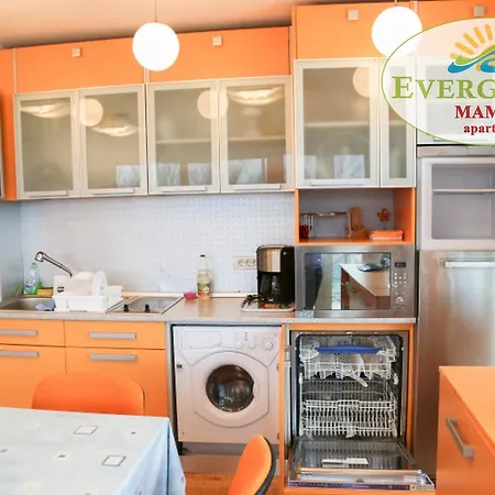 Lägenhet Evergreen Vlas Sud Mamaia