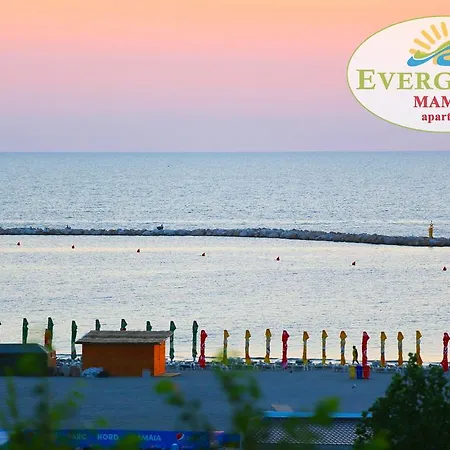 Evergreen Vlas Sud