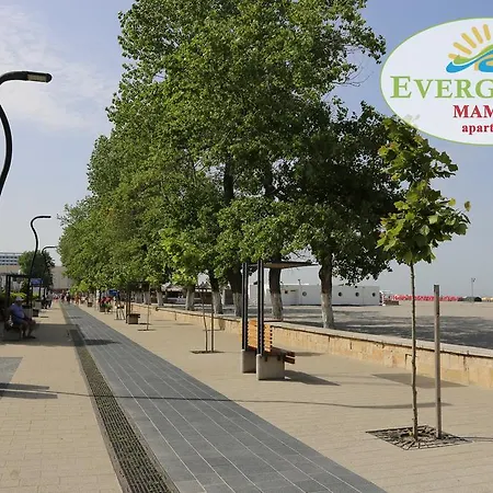 Evergreen Vlas Sud Mamaia
