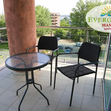 Evergreen Vlas Sud