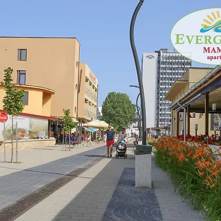 Evergreen Vlas Sud Mamaia