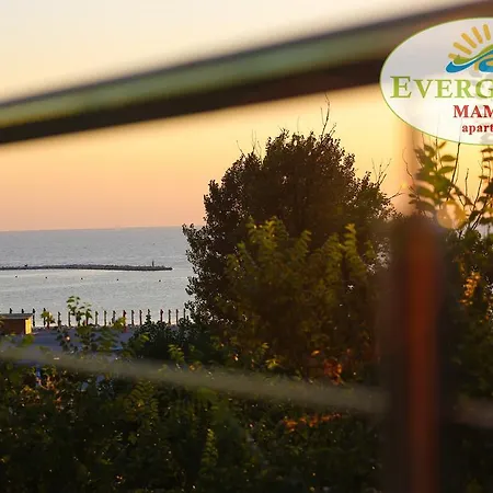 Apartman Evergreen Vlas Sud