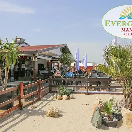 Evergreen Vlas Sud