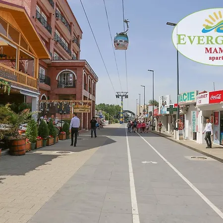 Appartement Evergreen Vlas Sud