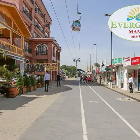 Apartment Evergreen Vlas Sud