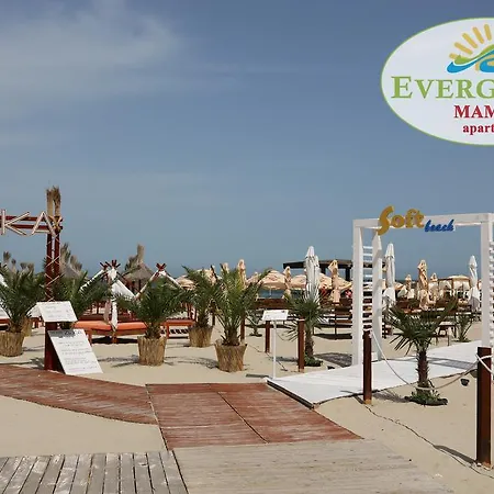 Evergreen Vlas Sud