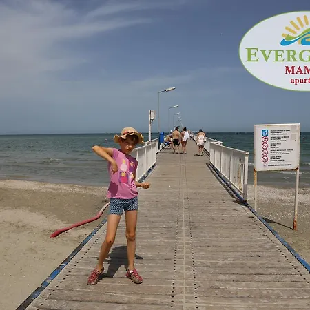 Evergreen Vlas Sud