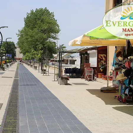 Appartement Evergreen Vlas Sud *