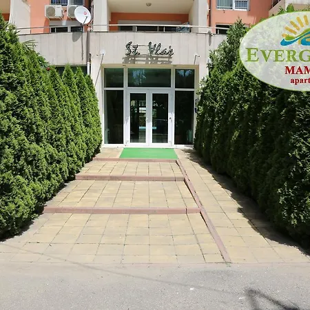 Apartment Evergreen Vlas Sud