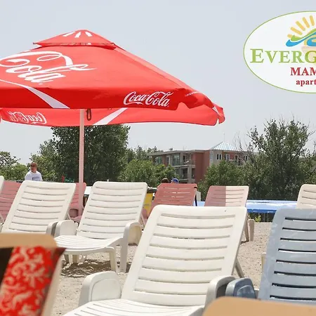 Apartment Evergreen Vlas Sud Mamaia