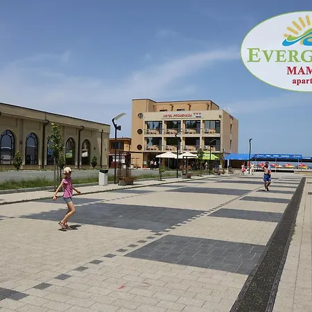 Evergreen Vlas Sud