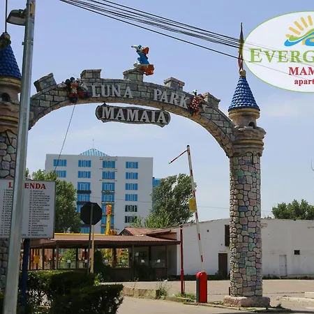 Evergreen Vlas Sud Mamaia