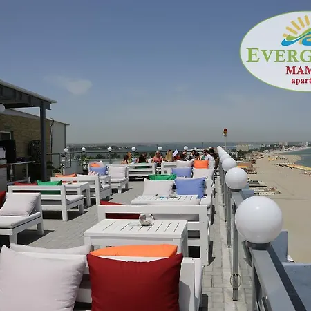 Apartment Evergreen Vlas Sud