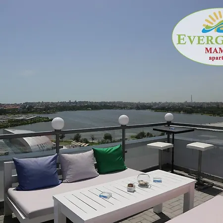 Evergreen Vlas Sud Mamaia