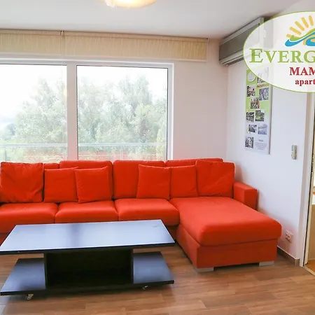 Apartment Evergreen Vlas Sud