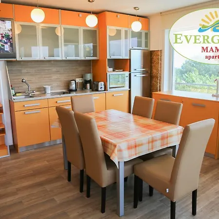 Apartment Evergreen Vlas Sud *