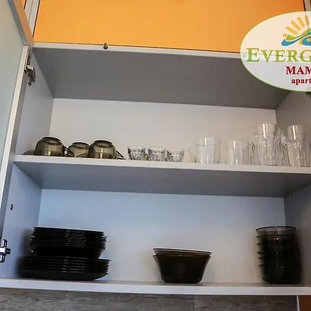 Appartement Evergreen Vlas Sud *