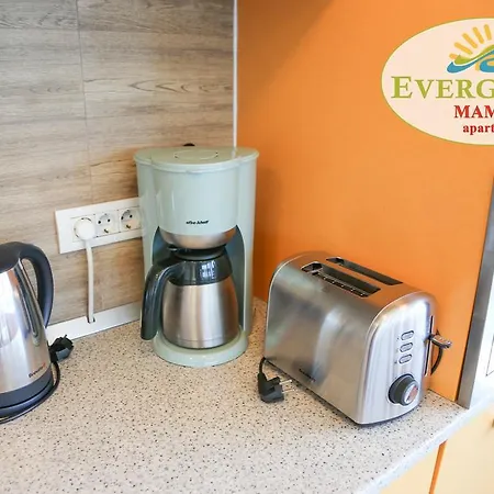 Apartment Evergreen Vlas Sud Mamaia