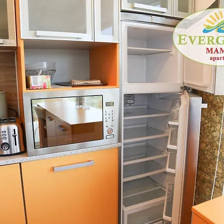 Evergreen Vlas Sud