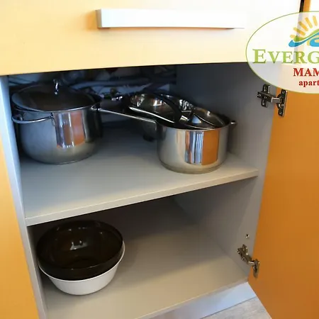 Apartment Evergreen Vlas Sud *