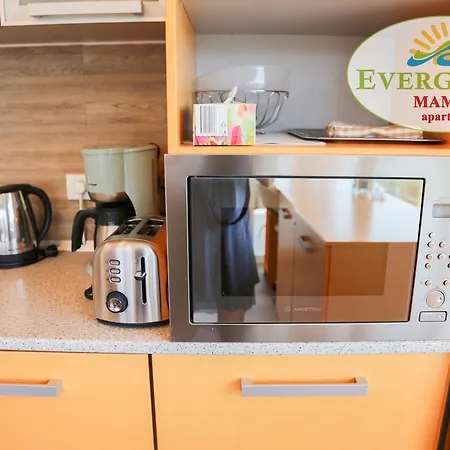 Evergreen Vlas Sud Mamaia