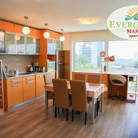 Evergreen Vlas Sud Mamaia