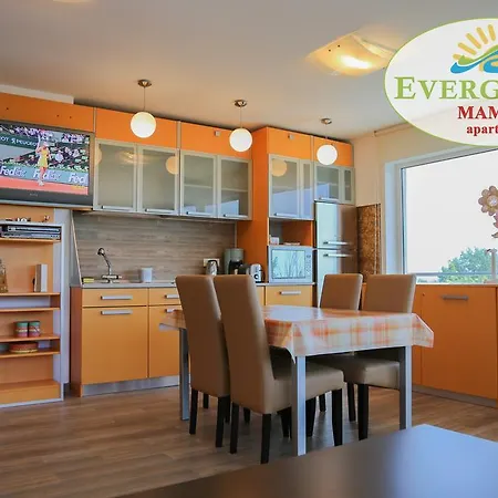 Apartment Evergreen Vlas Sud Mamaia
