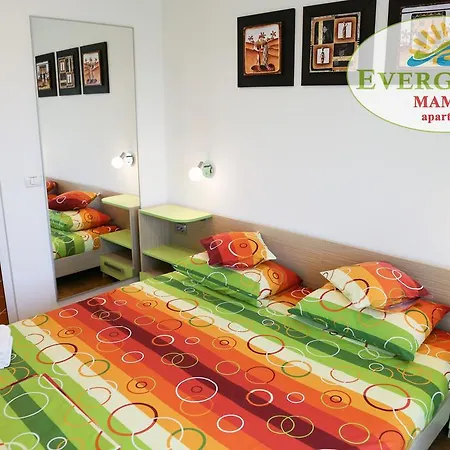Evergreen Vlas Sud