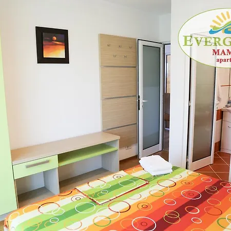 Apartment Evergreen Vlas Sud
