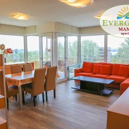 Evergreen Vlas Sud