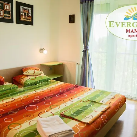 Evergreen Vlas Sud Mamaia