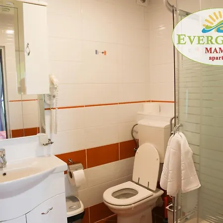 Evergreen Vlas Sud Mamaia